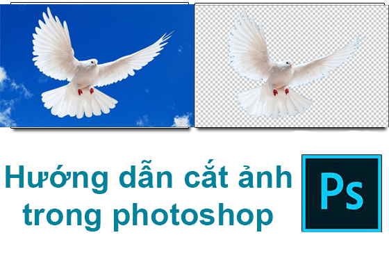 cat anh trong photoshop