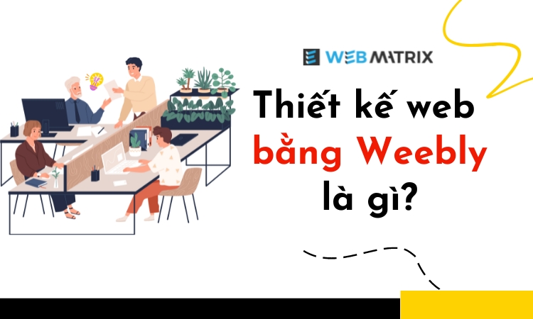 ANH WEBSITE WEBMATRIX 2 1